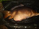 DSC_9772.JPG