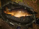 DSC_9774.JPG