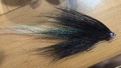 IMG_2797.jpeg