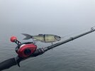 IMG_8807.jpeg