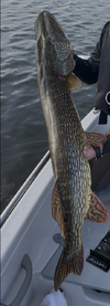 Bildschirmfoto 2026-05-29 um 09.51.56.png