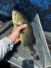 IMG_4751.jpeg