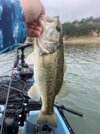 IMG_9374.jpeg