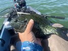 IMG_9386.jpeg