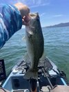 IMG_9396.jpeg