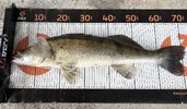 IMG_1756.jpeg