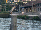 IMG_1462.jpg