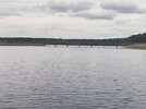 IMG_20260531_171037.jpg