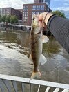 IMG_6694.jpeg