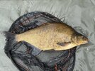 IMG_9599.jpeg