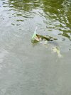 IMG_8109.jpeg