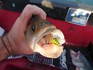 DSC_9818.JPG