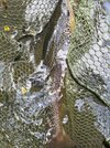 IMG_2609.jpeg