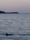 IMG_4777.jpeg