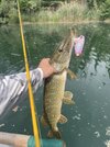 IMG_2188.jpeg
