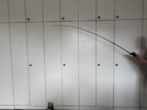 IMG_2579.jpeg