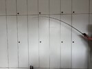 IMG_2580.jpeg