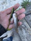 IMG_2407.jpg