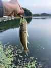 IMG_0199.jpeg