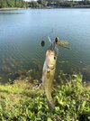 IMG_0194.jpeg