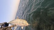 GX011056_1781456242731(1).jpg