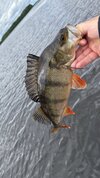 IMG_8583.jpeg