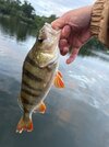 IMG_4531.jpeg