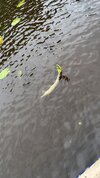 IMG_8616.jpeg