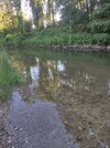 IMG_20260618_192035.jpg