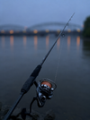 8A13B240-E536-49F2-8425-142C25DD342B.png