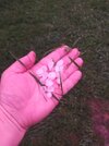 IMG20260621220053.jpg