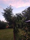 IMG20260621220204.jpg