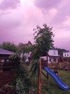 IMG20260621220236.jpg