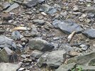 IMG_20260625_174329.jpg