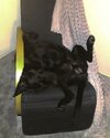 IMG_20260703_013349.jpg