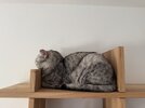 IMG_0753.jpeg