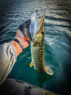EFA06B37-12FB-4A7F-857A-03D1E61DC381.jpeg
