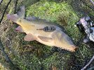 IMG_7977.jpeg