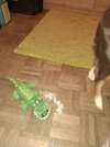 20241229_193247.jpg