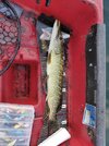 IMG_20260705_172915.jpg