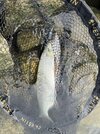 IMG_4639.jpeg
