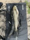IMG_4615 (1).jpeg