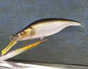 IMG_20260513_012317.jpg