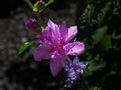 DSC01436.jpg