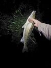 20260711_002353.jpg