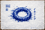 IMG_2382.png