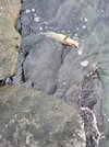 20260713_195834.jpg
