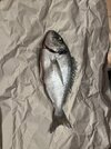 IMG_6177.jpeg