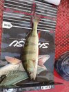IMG_20260715_205905.jpg
