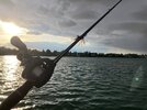 IMG_9487.jpeg